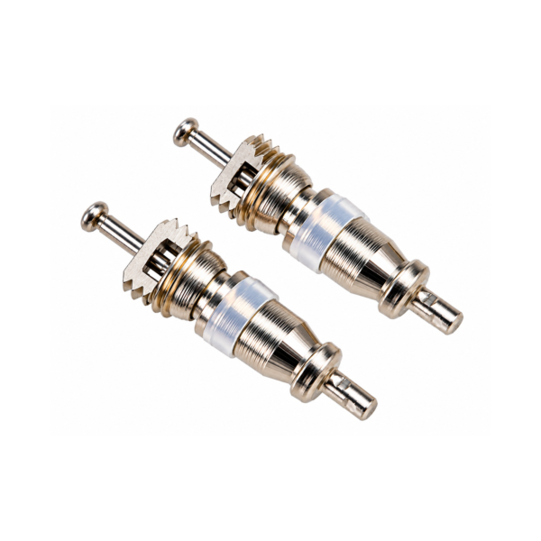 Ovulo de Carga p/R12-22 SCHRADER